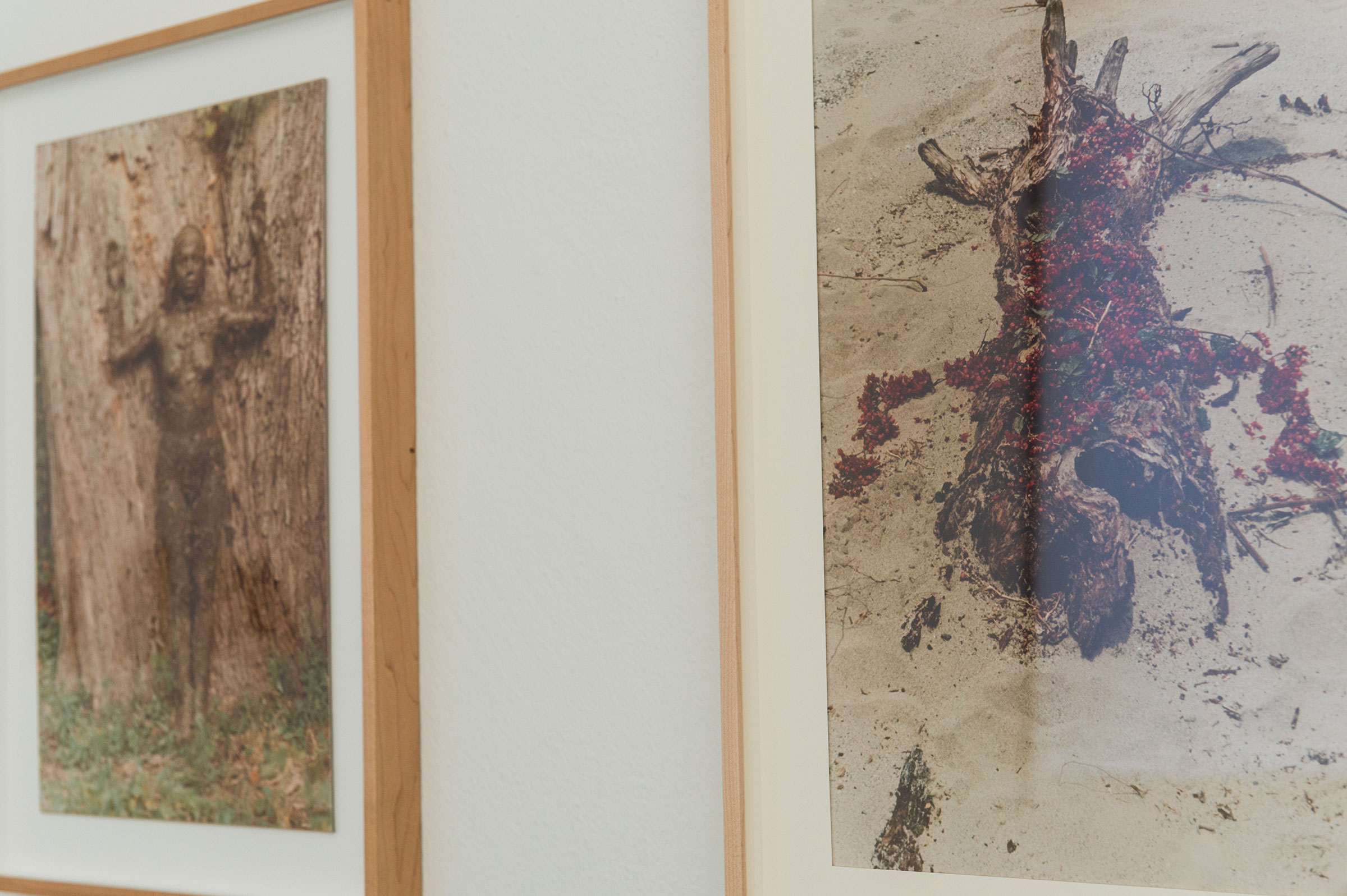Ana Mendieta, Arbol de la Vida, 1976, Arbol de la Vida, 1976